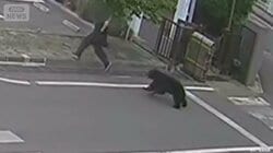 住宅街にクマ出没　人を追いかけ回し…建物内に居座りか　男女4人がけが
