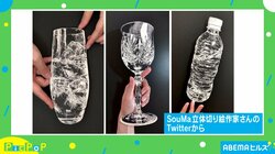 これぞ“紙”業!? 本物と見紛うほどの“切り絵”に驚きの声「まだ脳が追いついてない」