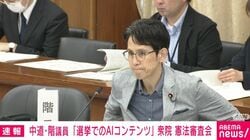 「高市首相の疑惑に関し、どういう動画が作成されたのか有料会員になって見てみた」階氏が選挙でのAIスロップ規制訴え