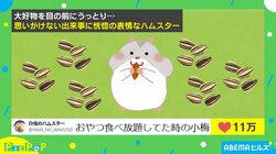 大好物を目の前にうっとり⋯ ハムスターのおやつ食べ放題姿に「満足げな顔で反省ゼロwww」と反響続々