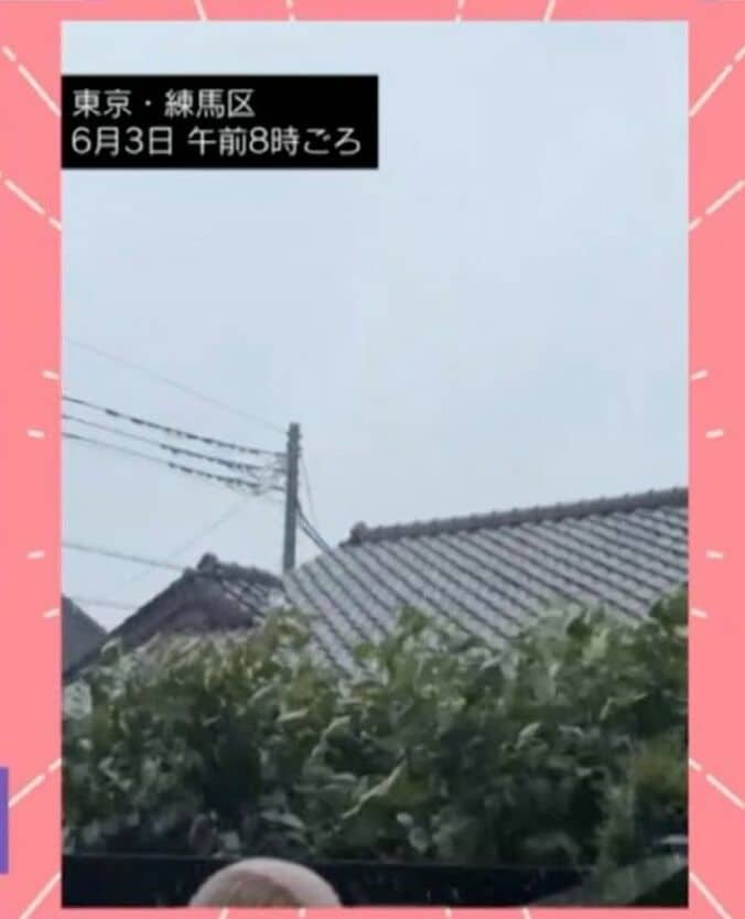 東京・練馬区 6月3日午前8時ごろ