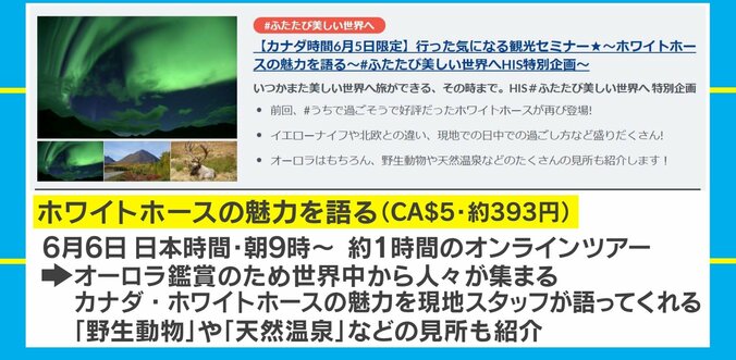 自宅で海外旅行気分！ 旅行会社大手「HIS」のオンラインツアーサービスが話題に 3枚目