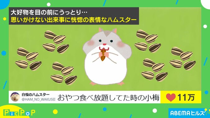 おやつ食べ放題しているハムスター