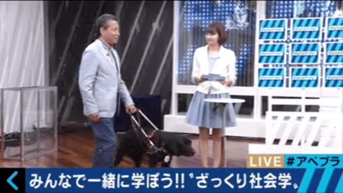 フィフィ、『補助犬問題』に言及　「スマホ見てるばかりでなく、積極的な声かけを」 2枚目