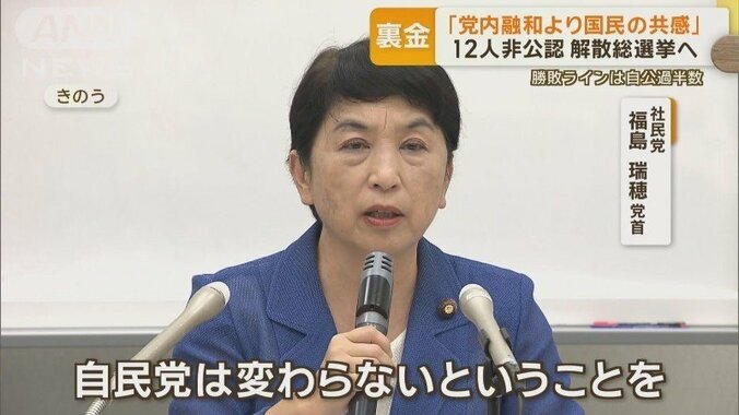 社民党 福島瑞穂党首