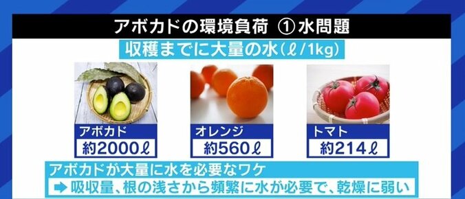 アボカドが自然破壊の遠因に?「人気が高まることで、むしろ環境負荷が減らせる可能性もある」 4枚目