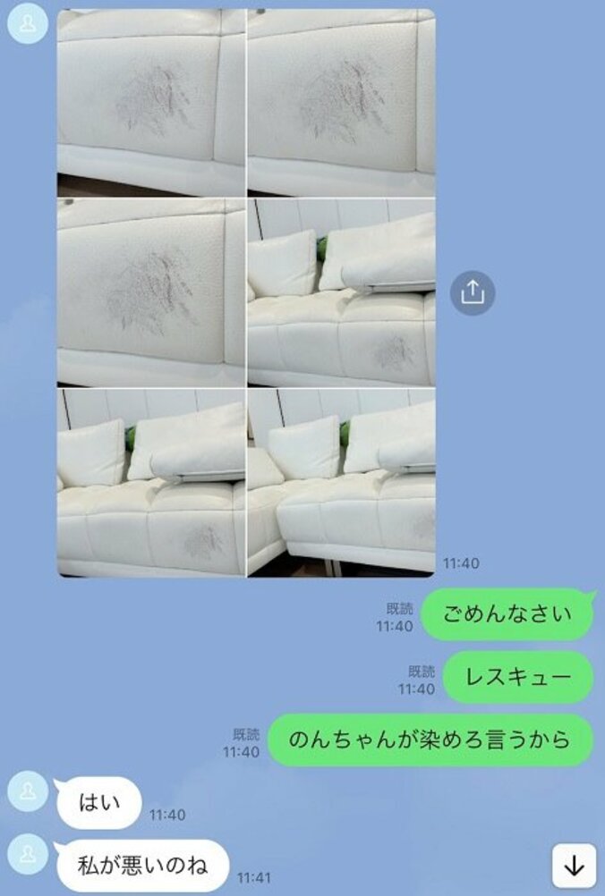 アレク、“100万円以上”のソファーを汚し妻・川崎希からLINE「怖すぎて寿命が縮まるよ、、、」 1枚目