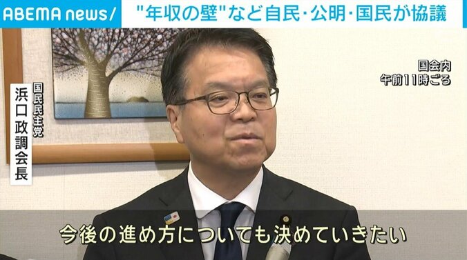 国民民主党・浜口政調会長