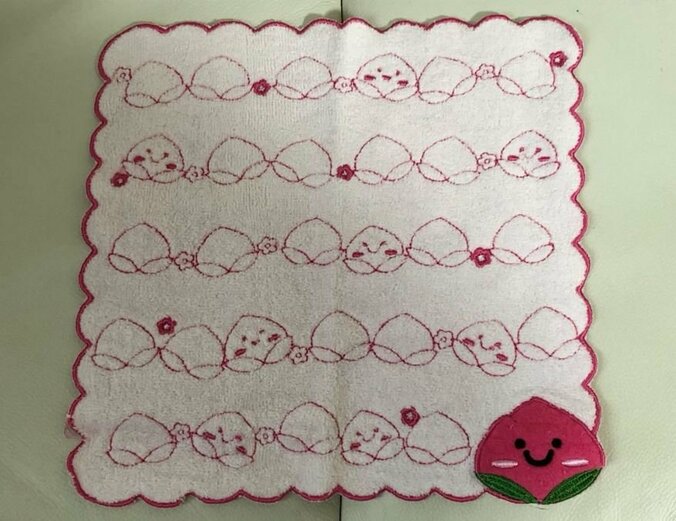 だいたひかる、乳房全摘術後の“アイデア”を紹介　読者から「本当に元気が出ます！」の声 2枚目