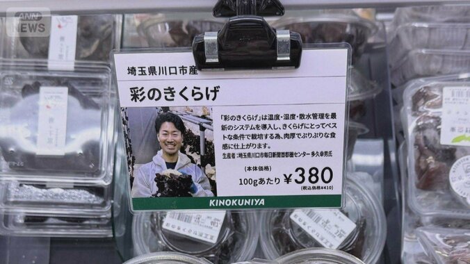 新聞印刷工場でキクラゲ栽培　空きスペース活用　スーパーやホテルに納品 1枚目