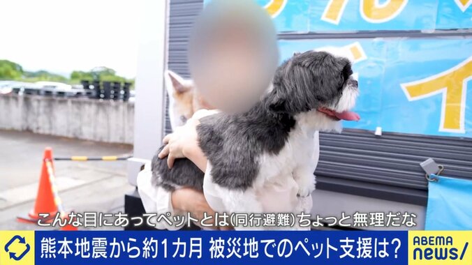 ペットを連れた被災者