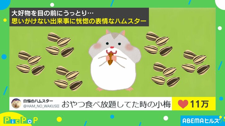 おやつ食べ放題しているハムスター