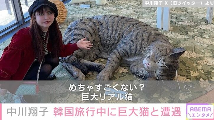 中川翔子、韓国旅行中に巨大猫と遭遇「翔子さんが小さく見えます」「本物そっくり」ファン驚き
