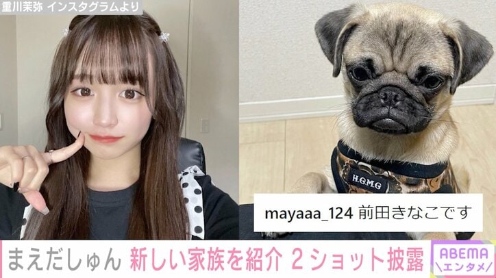 しゅんまや夫婦、新しい家族を公開「念願のパグ」「前田きなこです」