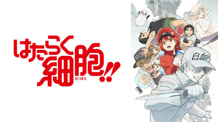 2021冬アニメ試し見SP第2弾！『はたらく細胞』『五等分の花嫁∬』『ホリミヤ』など5作品がABEMA無料配信 1枚目
