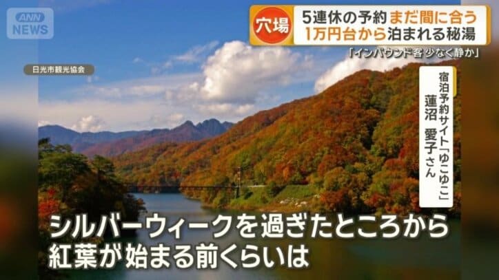 今後お得に旅行できる可能性も