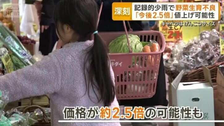 価格が約2.5倍の可能性も