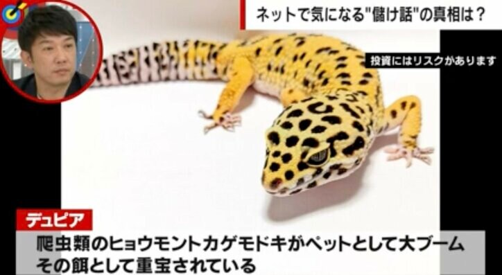 「“ゴキブリ投資”で年間200万円」「怪しいLINE投資グループ」…不祥事コンビTKOとネットに蔓延る"もうけ話"を検証