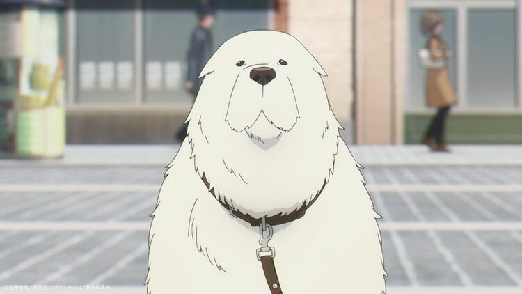 写真・画像】アニメ「スパイファミリー」ボンドはどんな犬？犬種や能力