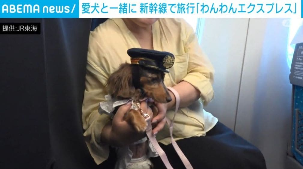 愛犬と一緒に新幹線で大阪旅行 「わんわんエクスプレス」（ABEMA TIMES