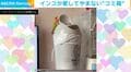 「ゴミ箱と一心同体」フタを“くるくる”回し続け…豪快に吹っ飛ばすインコが話題「笑ってしまうw」「力持ち!」