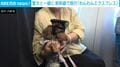 愛犬と一緒に新幹線で大阪旅行 「わんわんエクスプレス」