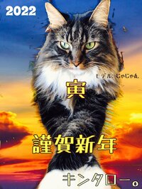 キンタロー。『ここだけの話。』