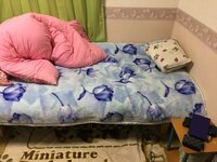 安田大サーカスHIRO『ベット買った╰(*´︶*)╯♡』