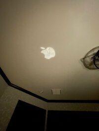 渡辺徹『妻が発見、奇跡の・・・』