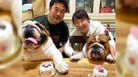 北斗晶　愛犬の誕生日は「ギリギリに間に合いました」