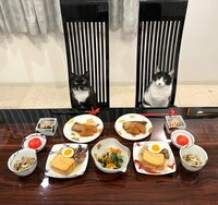 藤あや子『昨日の晩ごはん』