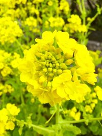 藤原紀香『2017/03/16』