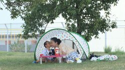 “いとうあさこに恋する5歳児”、本人との対面で愛が爆発？ 『探偵！ナイトスクープ』総集編