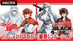 花澤香菜、前野智昭らが出演！新作"BLACK"の情報も発表される特番『いっしょに「はたらく細胞」ステーション』配信決定