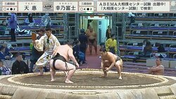 「ウルフ顔」「可愛い顔してる」あらゆる角度で魅力的な若手力士にメロメロの相撲ファン 小さな体で闘志ある姿に「惚れる」