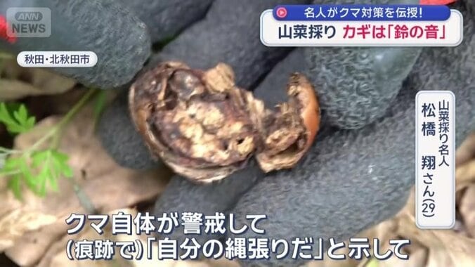 クマの痕跡を見つけたら即時撤退