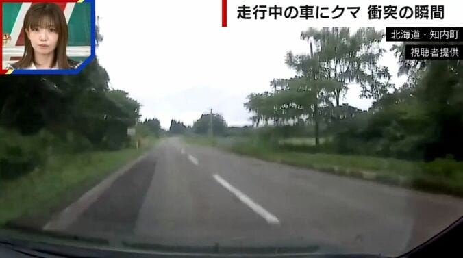 走行中の車にクマが突っ込む“恐怖の瞬間” バンパーには牙の跡が…乗車男性「生身だったらやばかった」 2枚目