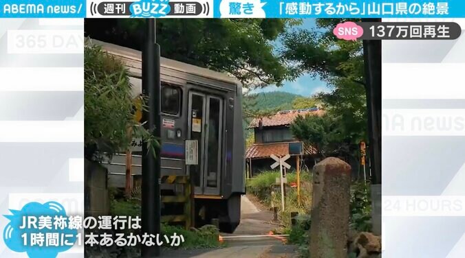 のどかな里山を通過する単行列車 ノスタルジックな雰囲気漂う風景が「ずっと残して欲しい」と130万回再生 1枚目