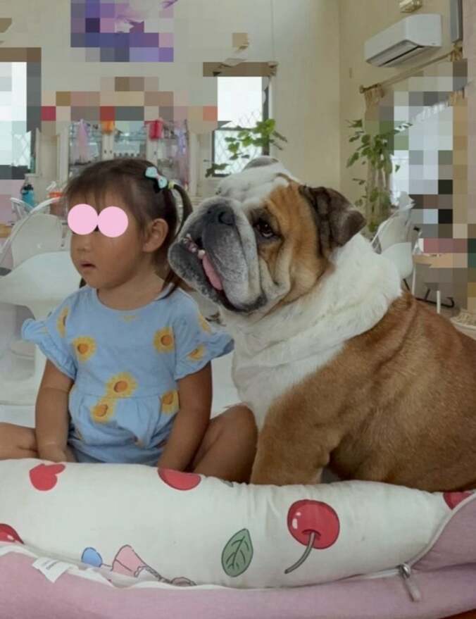 寿々ちゃんと梅ちゃん