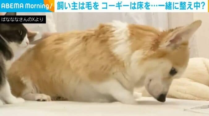 ばなななさんのXから