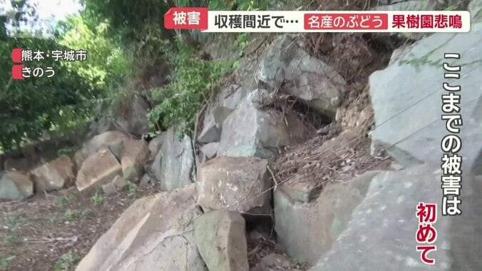 ここまでの地震被害は初めて