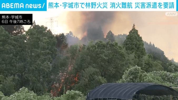 燃える竹やぶ