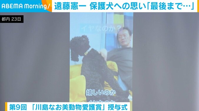 遠藤憲一の愛犬・クロミちゃん