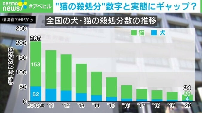 犬猫の“殺処分”は本当に減っているのか？ 不透明な実態に「救いたい気持ちは同じ」 2枚目