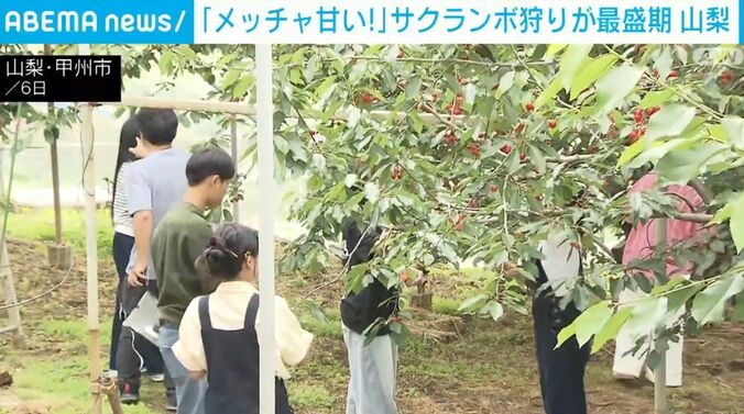 山梨・甲州市