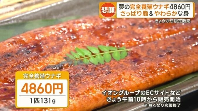 価格は1尾4860円から