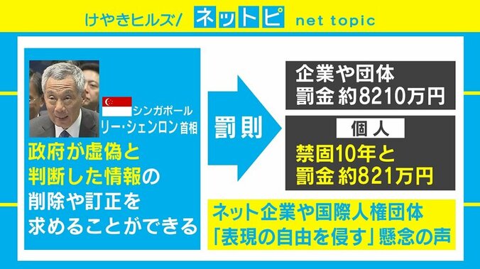 世界で相次ぐ“フェイクニュース規制” 政府の「フェイク」判断には疑問符も 2枚目