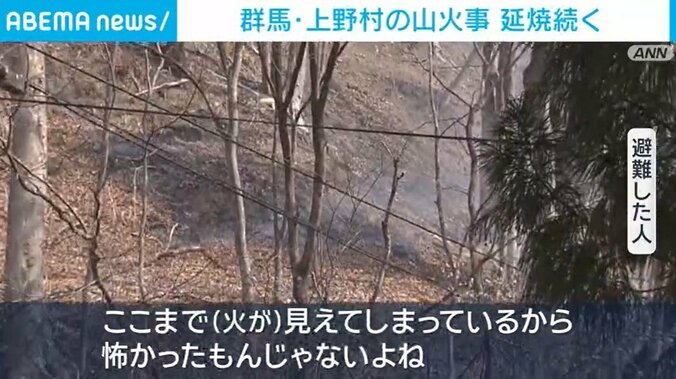 避難した人の声