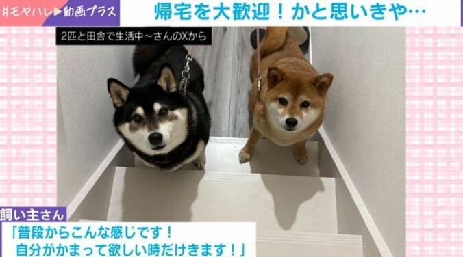 ななちゃんとぽちちゃん