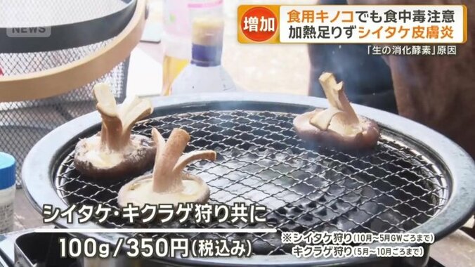 その場で焼いて食べるキノコバーベキュー